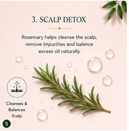 Avocado & Rosemary Shampoo